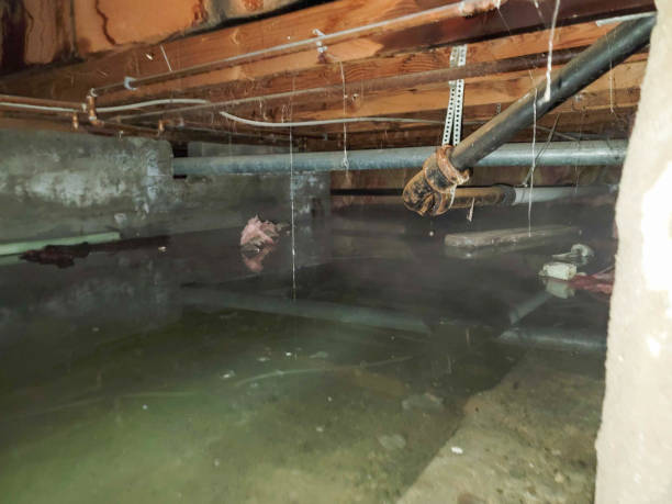 Best Ceiling water damage repair  in Mableton, GA