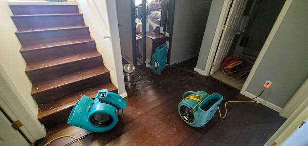  Mableton, GA Water damage restoration Pros