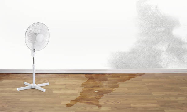 Best 24-hour water damage restoration  in Mableton, GA