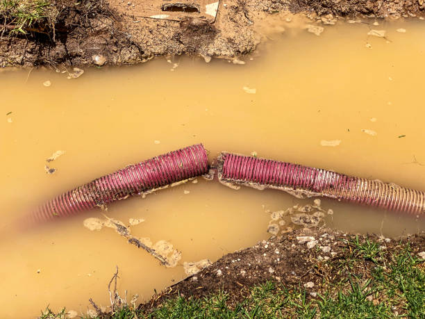 Best Sewage cleanup and water damage restoration  in Mableton, GA