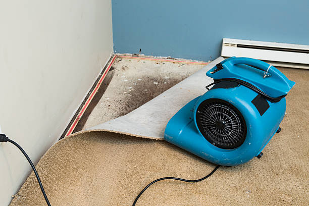 Carpet water damage restoration in GA